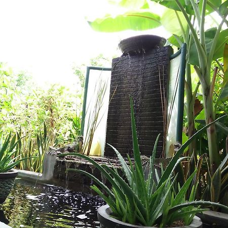 Jassri Homestay Pemuteran  Exterior photo