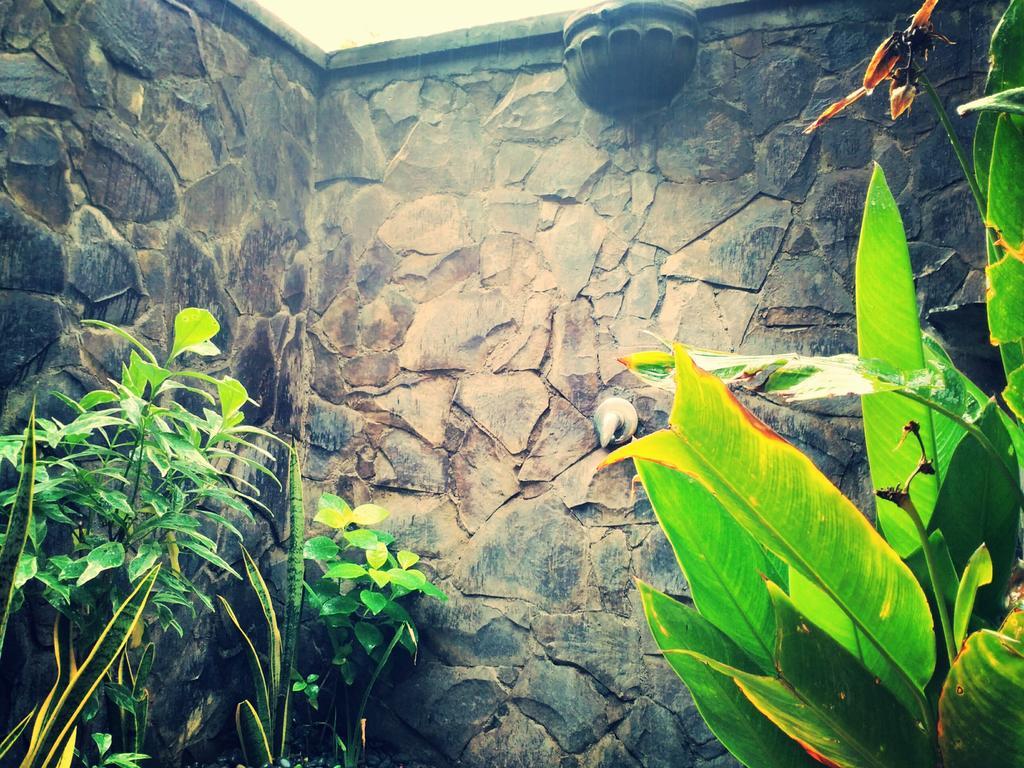 Jassri Homestay Pemuteran  Exterior photo