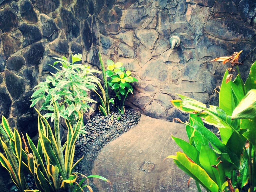 Jassri Homestay Pemuteran  Exterior photo