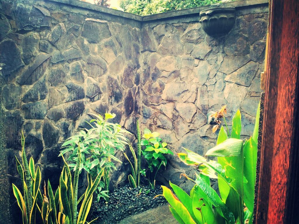 Jassri Homestay Pemuteran  Exterior photo
