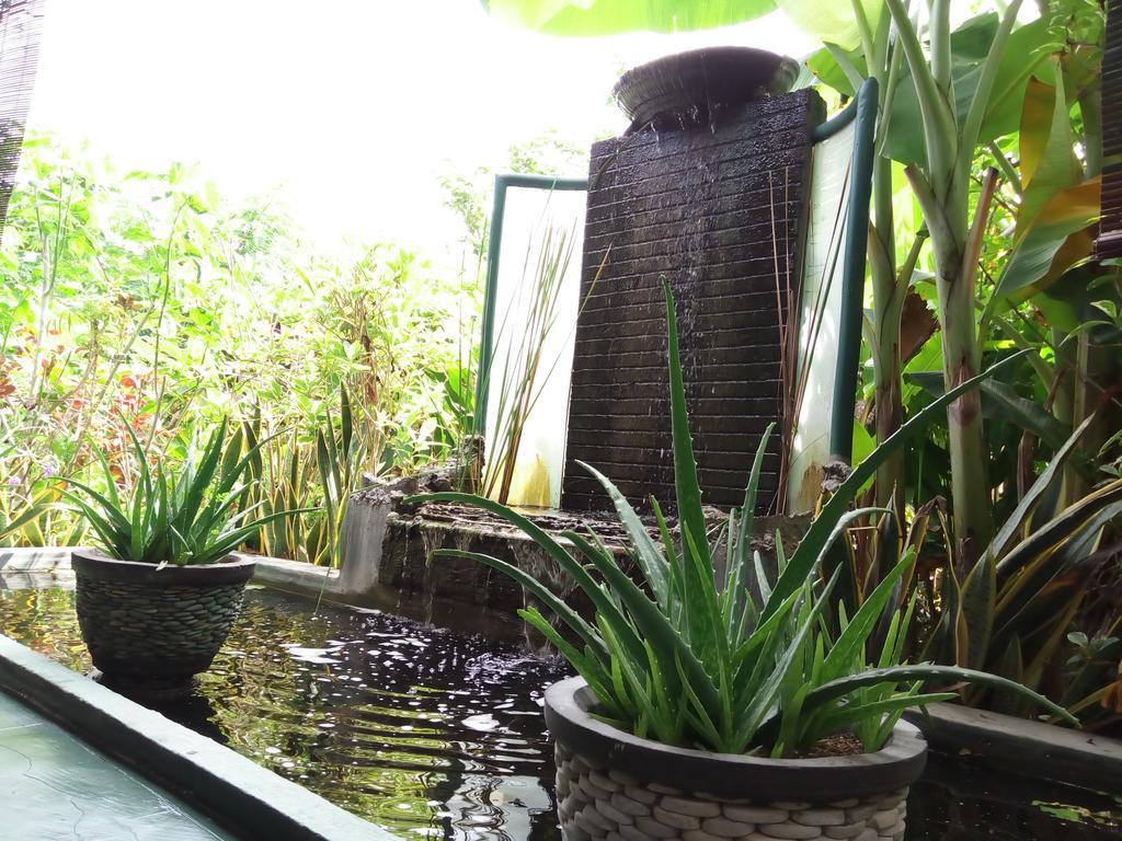 Jassri Homestay Pemuteran  Exterior photo