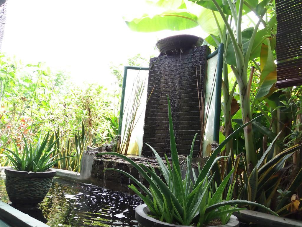 Jassri Homestay Pemuteran  Exterior photo